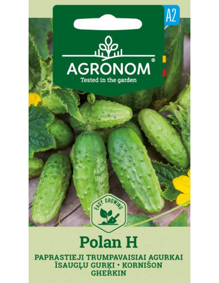 Agurk KORT POLAN H