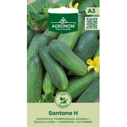 Agurk kort SANTANA H