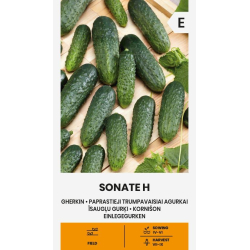 Agurk kort SONATE H