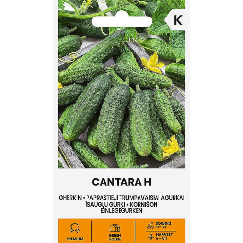 Agurk kort CANTARA H