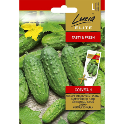 Agurk kort CORVETA H