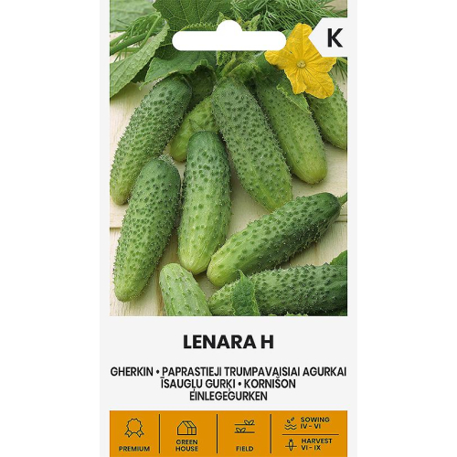 Agurk kort LENARA H