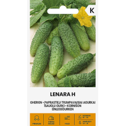 Agurk kort LENARA H