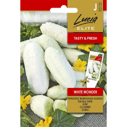 Agurk kort WHITE WONDER