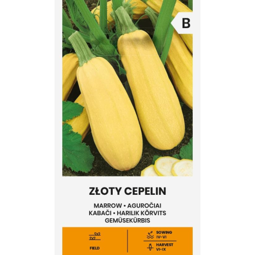 Squash ZLOTY CEPELIN