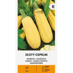 Squash ZLOTY CEPELIN