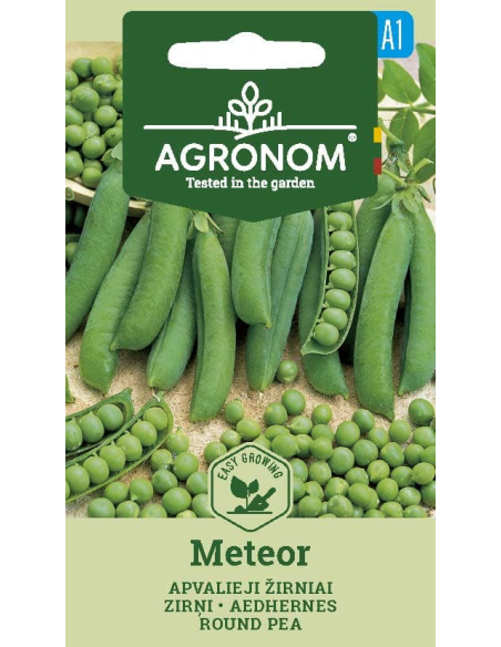 Erter METEOR