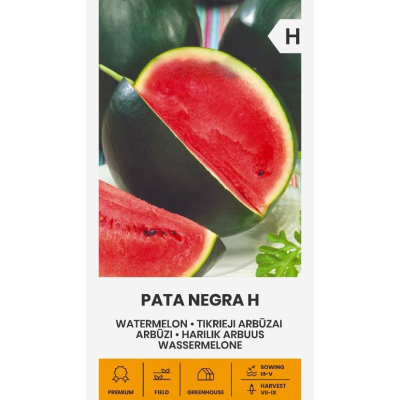 Vannmelon PATA NEGRA H