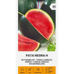 Vannmelon PATA NEGRA H