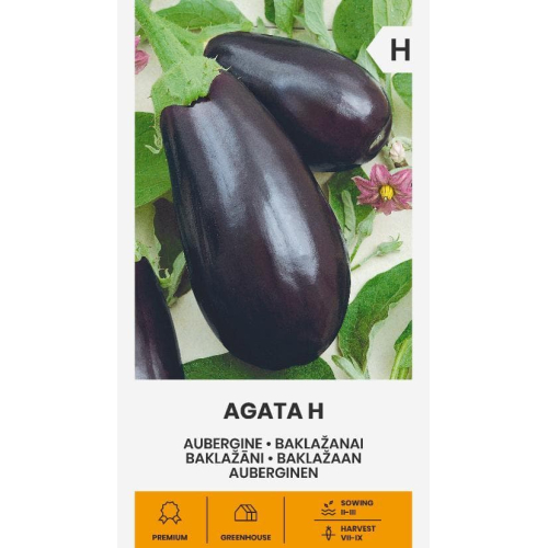 Aubergine AGATA H