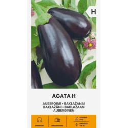 Aubergine AGATA H