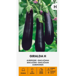 Aubergine GIRALDA H