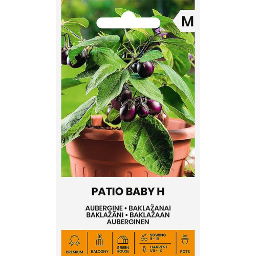 Aubergine PATIO BABY H