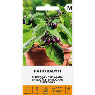 Aubergine PATIO BABY H