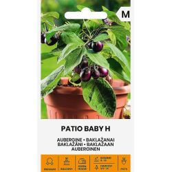 Aubergine PATIO BABY H
