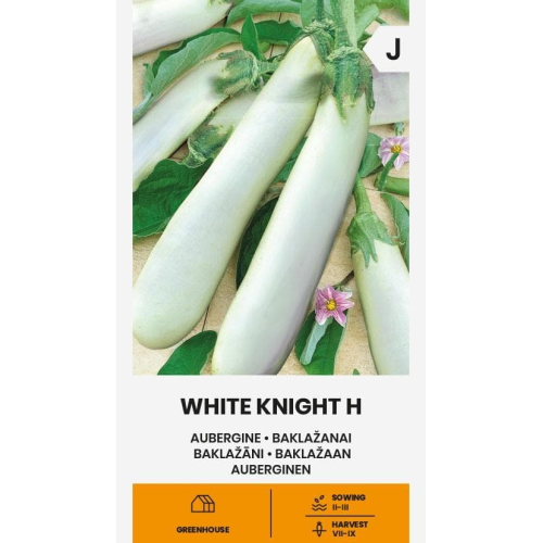 Aubergine WHITE KNIGHT H