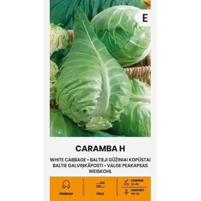 Hodekål CARAMBA H