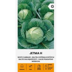 Hodekål JETMA H