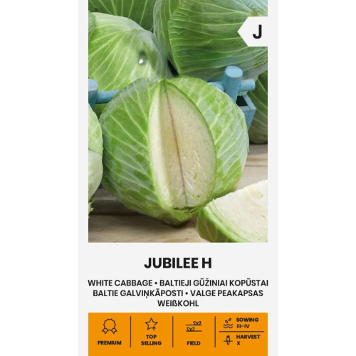 Hodekål JUBILEE H