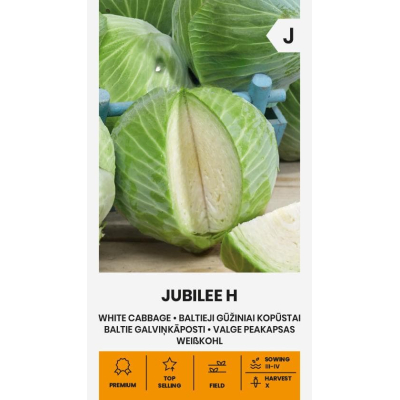Hodekål JUBILEE H
