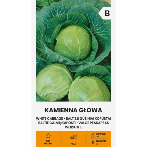 Hodekål KAMIENNA GLOWA