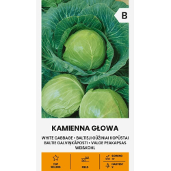 Hodekål KAMIENNA GLOWA