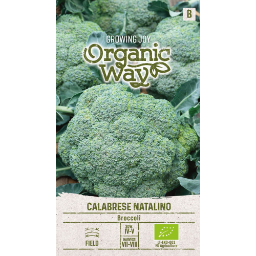 Brokkoli organic CALABRESE NATALINO
