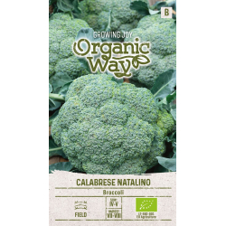 Brokkoli organic CALABRESE NATALINO