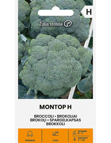 Brokkoli MONTOP H