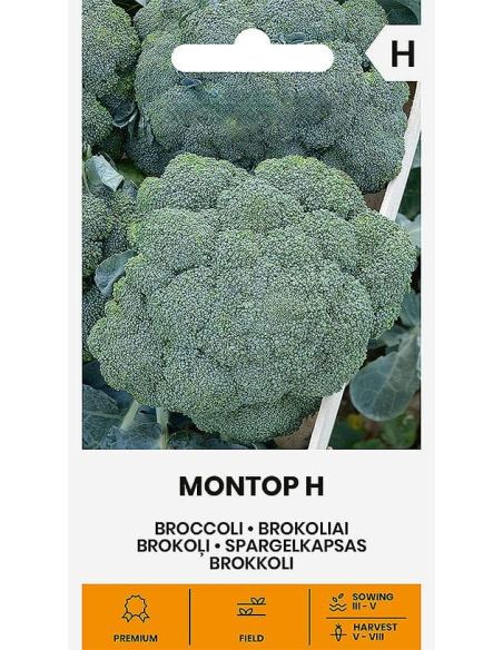 Brokkoli MONTOP H
