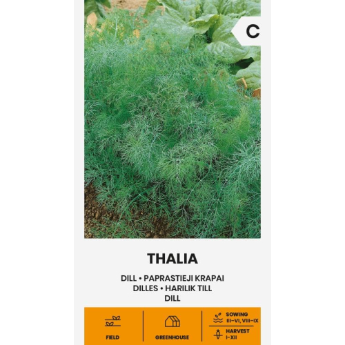 Dillfrø THALIA