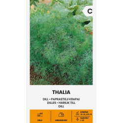 Dillfrø THALIA