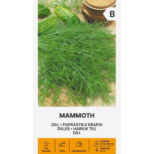 Dillfrø MAMMOTH