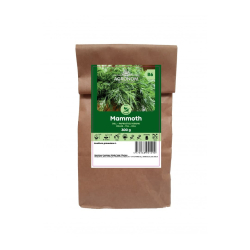 Dillfrø MAMMOTH 300G