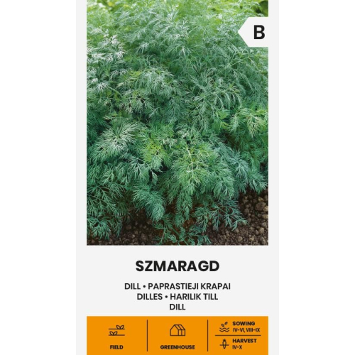 Dillfrø SZMARAGD