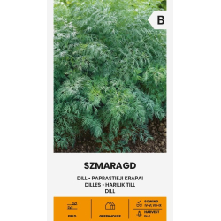 Dillfrø SZMARAGD