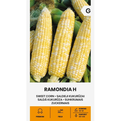 Mais frø søt RAMONDIA H