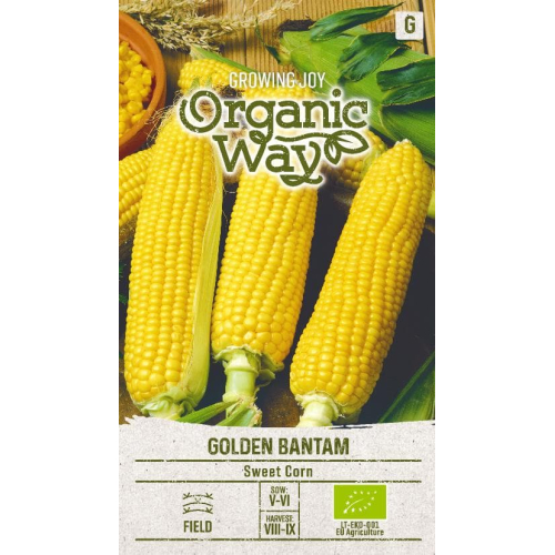 Mais frø organic GOLDEN BANTAM