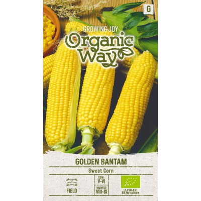 Mais frø organic GOLDEN BANTAM