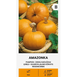 Gresskarfrø AMAZONKA