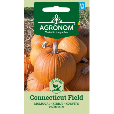 Gresskarfrø CONNECTICUT FIELD