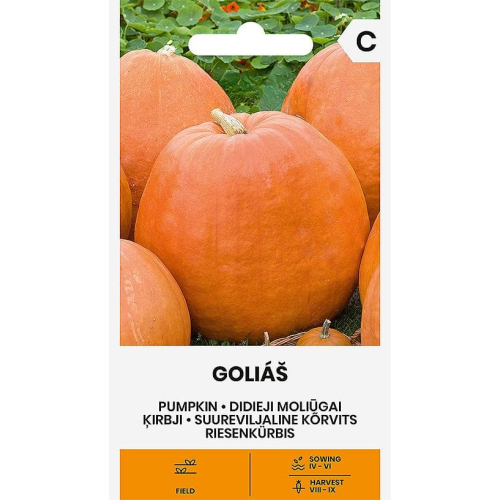 Gresskarfrø stor BIG GOLIAS