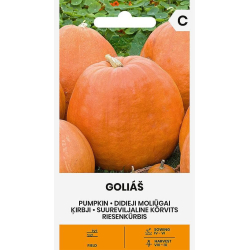 Gresskarfrø stor BIG GOLIAS