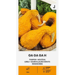 Gresskarfrø GA GA GA H