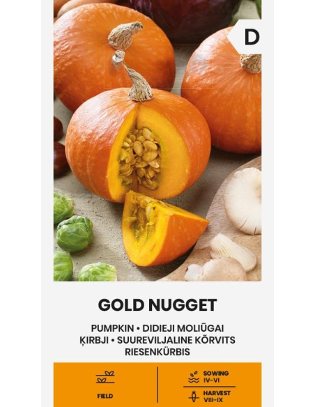 Gresskarfrø GOLD NUGGET