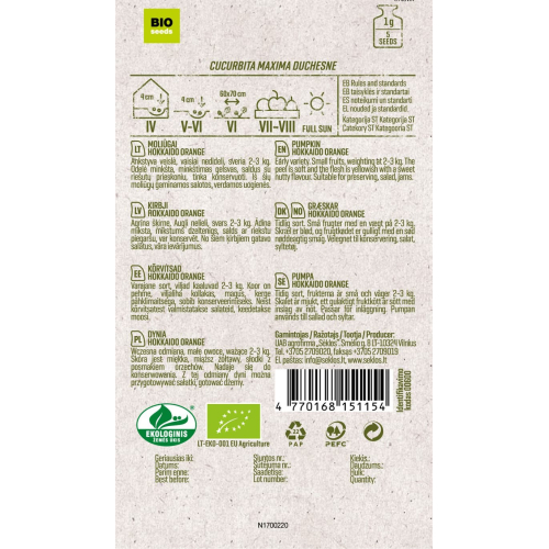 Gresskarfrø ECO HOKKAIDO ORANGE