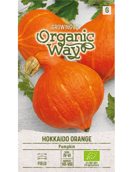 Gresskarfrø ECO HOKKAIDO ORANGE