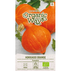 Gresskarfrø ECO HOKKAIDO ORANGE