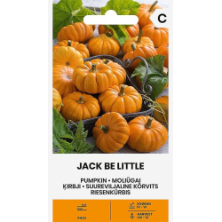 Gresskarfrø JACK BE LITTLE