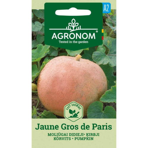 Gresskarfrø JAUNE GROS DE PARIS